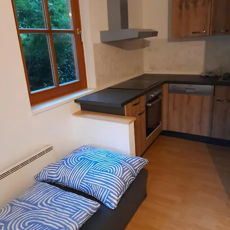 Monteurwohnung Balu Apartment Hof bei Salzburg